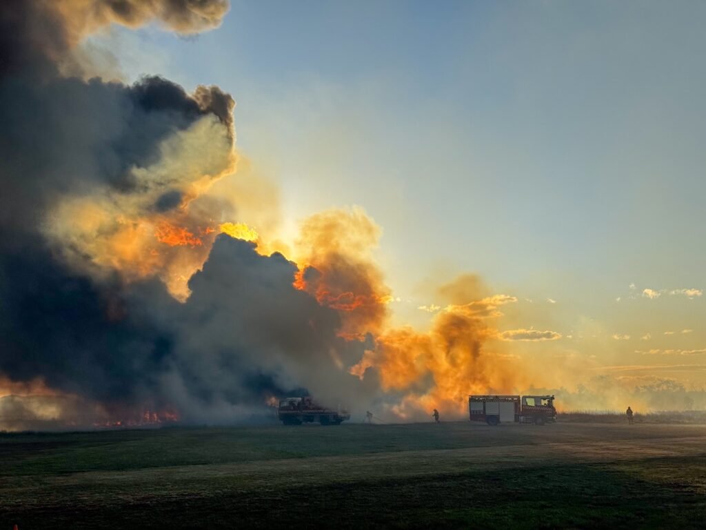 546980879 10163904295003524 252848439569499606 n