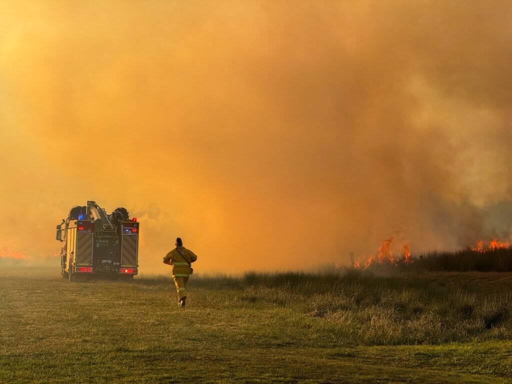 547177937 10163904295033524 5147544575447310870 n