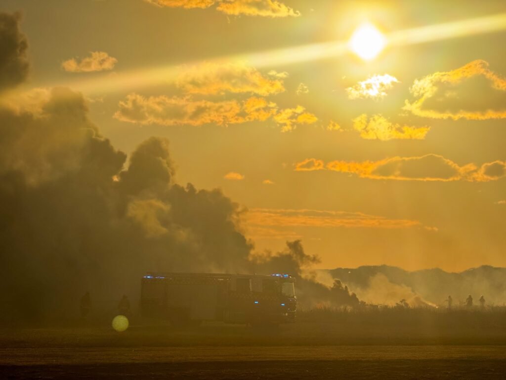 547496379 10163904294738524 873929397112522731 n