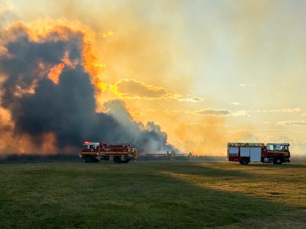 547588155 10163904294508524 8797024128380181467 n