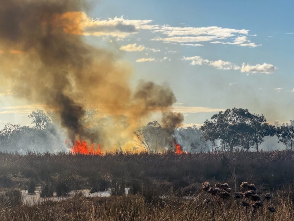 547827233 10163904294298524 3053483673321526475 n