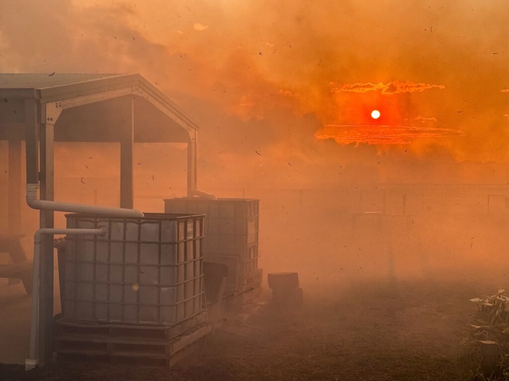 548071710 10163904295468524 2985011087632886600 n