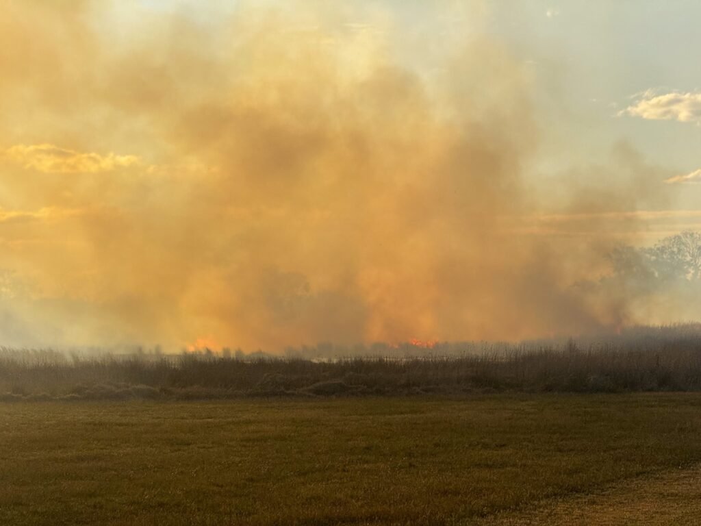 548095423 10163904294258524 2938356126008747656 n