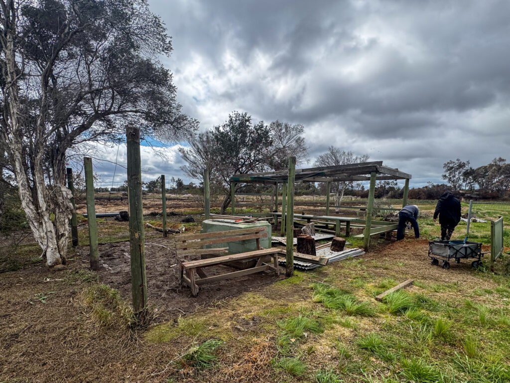 End of an Era old shelter 6